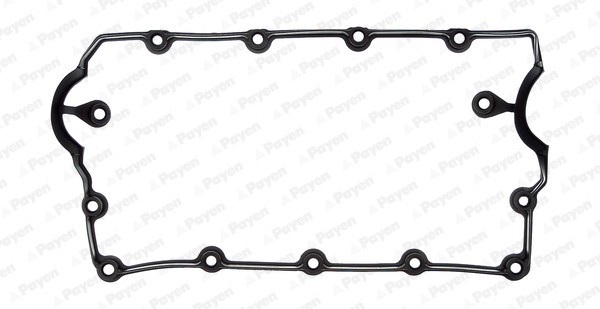 PAYEN JM5120 Garnitura, capac supape