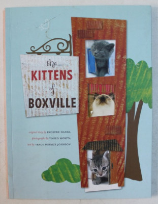 THE KITTENS OF BOXVILLE , 2009 foto