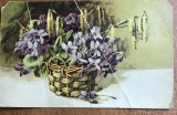 CPISTR5 Carte Postala Veche 1929 Felicitare Anul Nou Editura W&amp;N Focsani Stampila Fluture