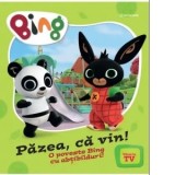 Pazea, ca vin. O poveste Bing cu abtibilduri - Antonia Girmacea, Bing Bunny