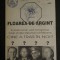 Floarea de argint Pavel Corut