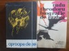 Biografie de Razboi &amp; Aproape de Zei - Radu Theodoru, Aviatie, Militara Eminescu, 1980/1969, 407+354 pagini