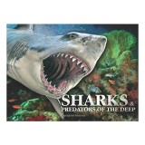 Carte straina in engleza: Sharks &amp; Predators of the Deep - Viata marina si pradatori din adancuri