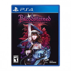 Bloodstained Ritual Of The Night Ps4 foto