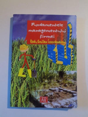 FUNDAMENTELE MANAGEMENTULUI FIRMEI de RADU EMILIAN , 2004 foto