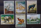 BC416, Ajman 1972, serie fauna