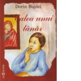 Calea unui tanar - Dorin Bujdei