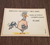 Carte Poștală Umoristică Vintage &ndash; &bdquo;QUELLES VACANCES! MES AMIS&quot;, Pasăre Jumulită, Ilustrație