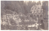 935 - SINAIA, Prahova, Peles Park - old postcard, real Photo - unused - 1917, Necirculata, Fotografie