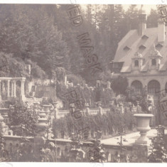 935 - SINAIA, Prahova, Peles Park - old postcard, real Photo - unused - 1917