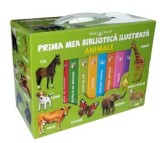 Cumpara ieftin Cutie Prima mea biblioteca ilustrata. Animale (8 carticele)/***