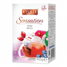 Ceai de fructe plicuri, Wild Berry Evolet grandpack 10 plicuri foto