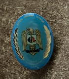 QW9 N8 98 - insigna - tematica militara - simbol informatii militare - 1995