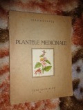 Plantele medicinale / ce se pot aduna cu elevii si satenii - Ioan Roventa / carte veche , edittura &quot; casa scoalelor &quot; ,an 1943, ilustratii, 55 pagini