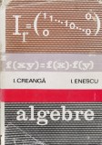 Algebre - Ion Creanga, Ion Enescu, Ed. Tehnica 1972, Matematica, Romana, 400 pagini