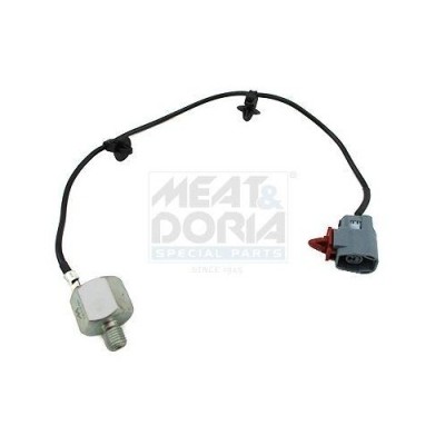 Meat &amp;amp;amp; Doria Senor batai foto