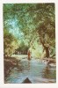 RF54 -Carte Postala- Vedere din Delta Dunarii, circulata 1965