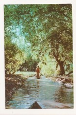 RF54 -Carte Postala- Vedere din Delta Dunarii, circulata 1965