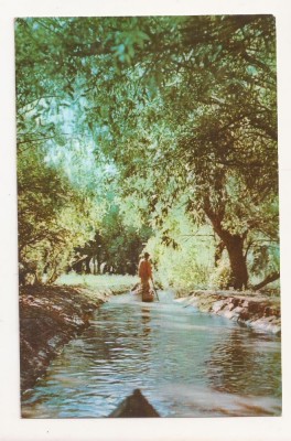RF54 -Carte Postala- Vedere din Delta Dunarii, circulata 1965 foto
