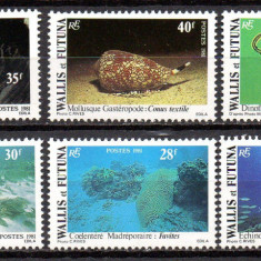 Wallis & Futuna 1981, Fauna marina, serie neuzata, MNH
