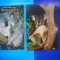 HOPCT LOT NR 1024 KOALA-URS/URSI -FAUNA -2 CARTI POSTALE-NECIRCULATE