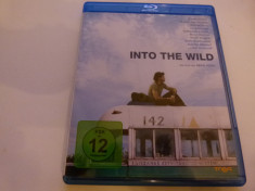 Into the wild - Sean Penn foto