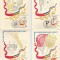 Rom&acirc;nia, Festivalul naţional &quot;C&acirc;ntarea Rom&acirc;niei&quot;, set 4 maxime, Bacău, 1982