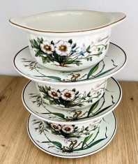 Set - Boluri - termorezistente - Villeroy and Boch - Botanica - 3 persoane foto
