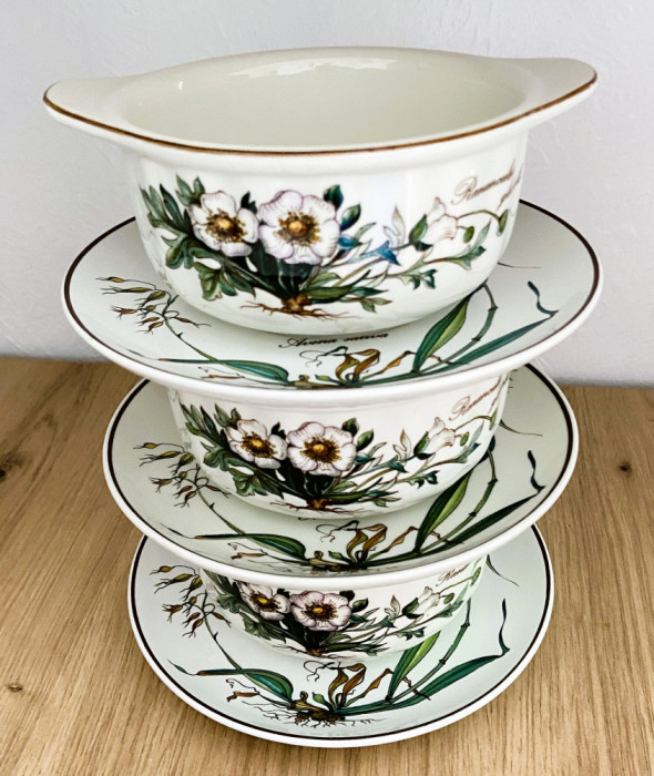 Set - Boluri - termorezistente - Villeroy and Boch - Botanica - 3 persoane