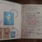QW13 1 12 - 1955 - Diploma absolvire - tehnician evidenta contabila industriala