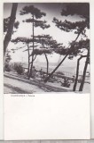 bnk cp Constanta - Faleza - uzata
