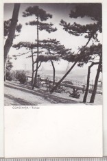 bnk cp Constanta - Faleza - uzata
