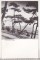 Foto  - 1