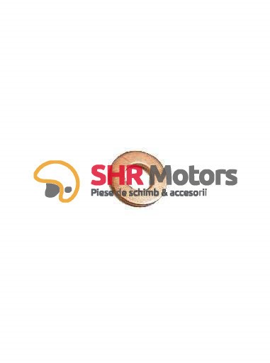 13.Saiba 6 CF Moto 500