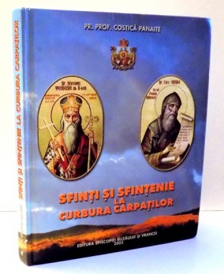 SFINTI SI SFINTENIE LA CURBURA CARPATILOR de COSTICA PANAITE , 2005 foto
