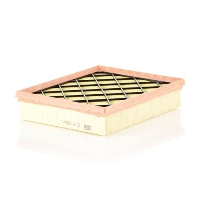 Filtru aer Mann-Filter C250081 foto