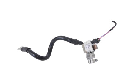 Borna cablu baterie AUDI Q5 8R 2016 OEM: 8R0915181C 22024062 foto