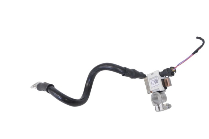 Borna cablu baterie AUDI Q5 8R 2016 OEM: 8R0915181C 22024062