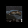 Amenra - Mass VI (2LP, Vinyl), Rock
