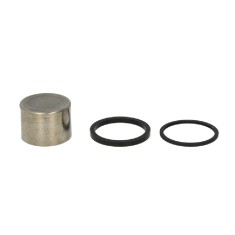 Piston Etrier Frana YAMAHA FJ FZR TDM TRX XJR 750-1200 1987-1996