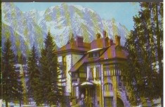CPI B14803 - CARTE POSTALA - VILA LA BUSTENI