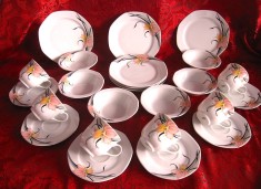 SET / SERVICIU CAFEA TORT INGHETATA PORTELAN WUNSIEDEL BAVARIA CESTI FARFURII BOLURI 24 PIESE