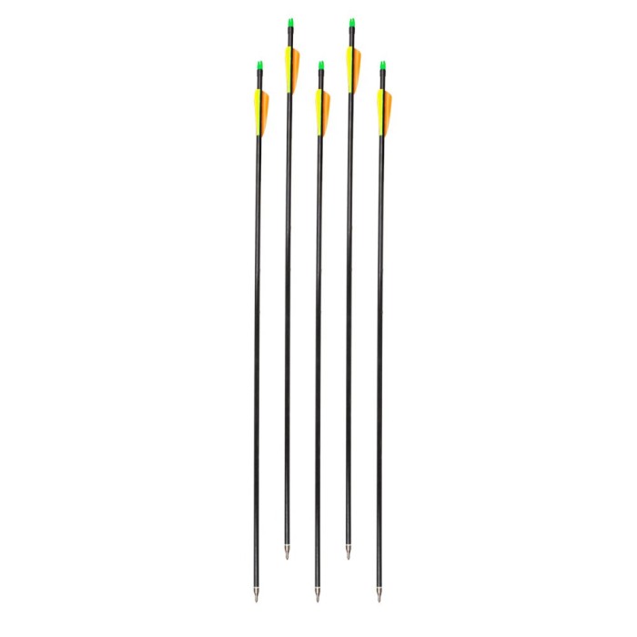 Sageti fibra de sticla cu varf inlocuibil inSPORTline Adamson 32&quot; - 5 buc. FitLine Training