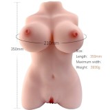 Armony-Torso Feminin Realist Model 3-TPE