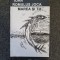 MAREA SI TU - Romulus Joca