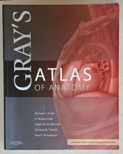 GRAY &#039;S ATLAS OF ANATOMY by RICHARD L. DRAKE ...PAUL E. RICHARDSON , 2008 , TEXT IN LIMBA ENGLEZA