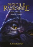 Pisicile razboinice Vol. 7: Noua Profetie.Miez de noapte - Editura Grupul All