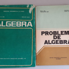 Ion D. Ion - Algebra - curs si culegere de probleme