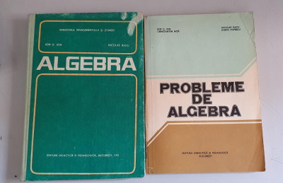 Ion D. Ion - Algebra - curs si culegere de probleme foto