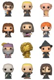Figurina surpriza - Harry Potter | Funko